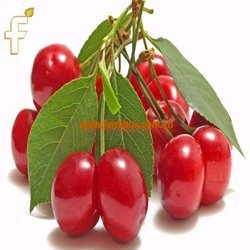 DINH DƯỠNG TUYỆT VỜI TỪ TRÁI CHERRY