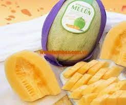 Dưa Lưới Đài Loan
