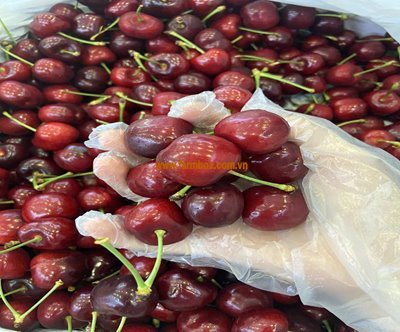 Cherry mỹ