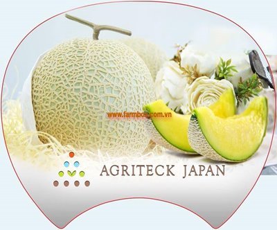 Dưa Lưới Agriteck Japan