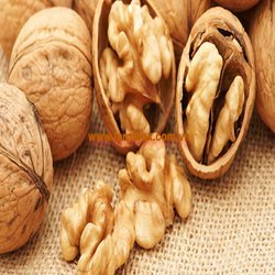 QUẢ ÓC CHÓ MUA Ở ĐÂU UY TÍN? QUẢ ÓC CHÓ CÓ TÁC DỤNG GÌ?